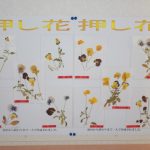 掲載サムネイル写真4