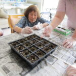 掲載サムネイル写真4