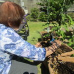 掲載サムネイル写真2