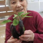 掲載サムネイル写真5