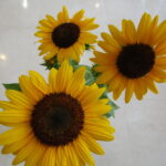 掲載サムネイル写真3