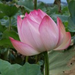 掲載サムネイル写真4