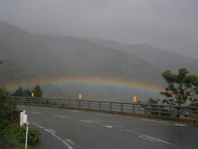 掲載写真1