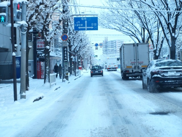 掲載写真2