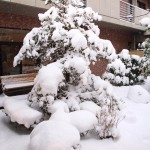 掲載サムネイル写真4