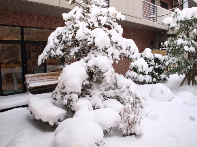 掲載写真4