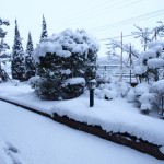 掲載サムネイル写真5