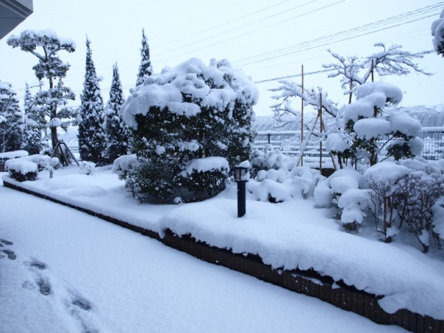 掲載写真5