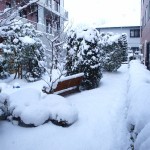 掲載サムネイル写真3