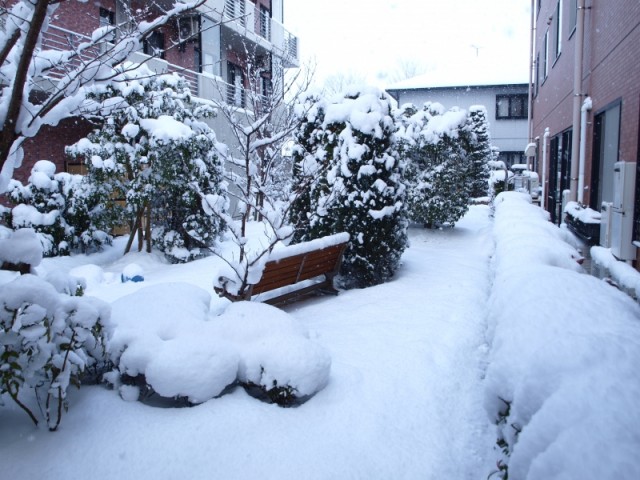 掲載写真3