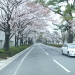 掲載サムネイル写真7