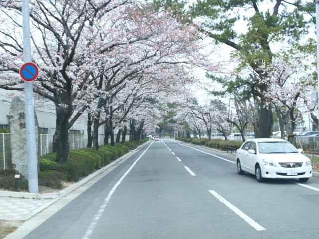 掲載写真7