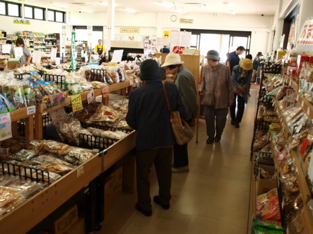掲載写真4