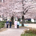 掲載サムネイル写真3