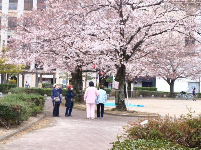 掲載写真3