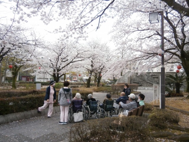 掲載写真5