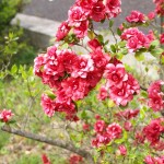 掲載サムネイル写真3