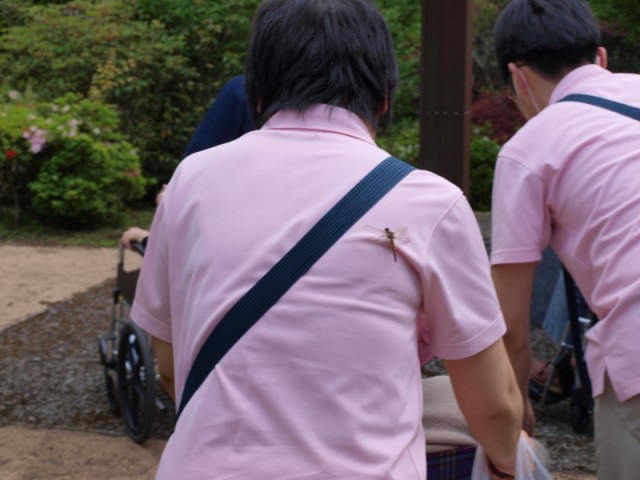 掲載写真8