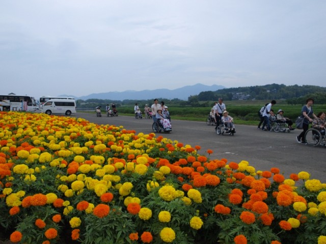 掲載写真1