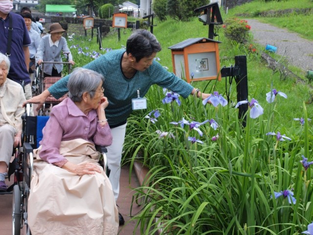 掲載写真2