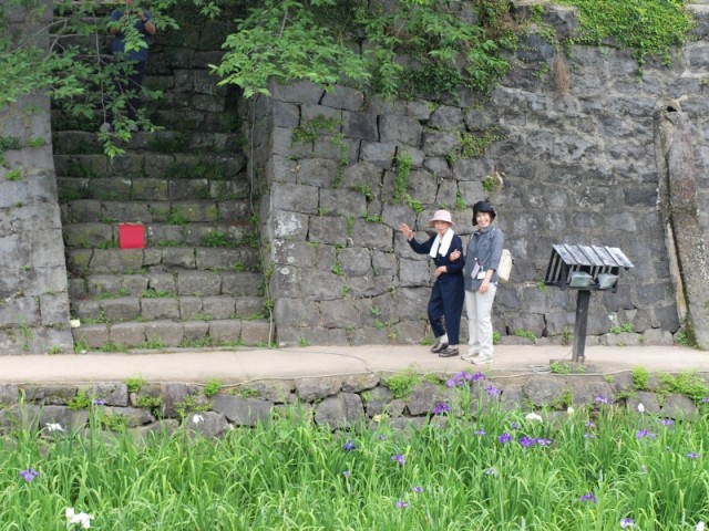 掲載写真6