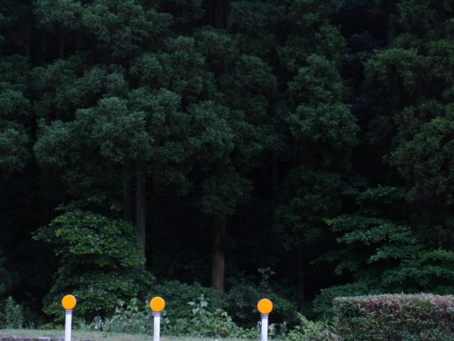 掲載写真1
