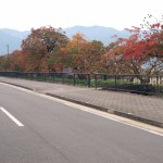 掲載サムネイル写真4