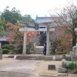 掲載サムネイル写真5