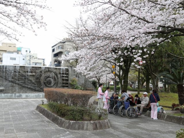 掲載写真2