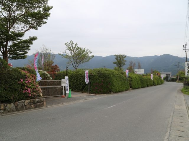 掲載写真1