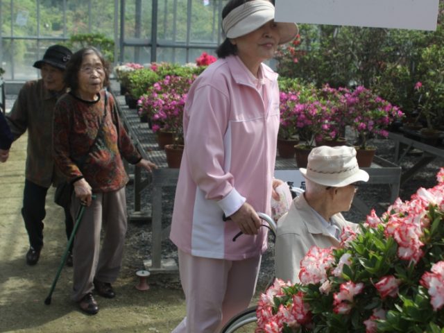 掲載写真2