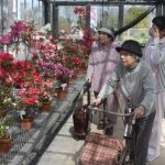 掲載サムネイル写真5