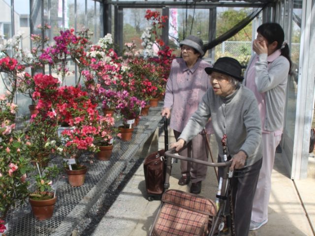 掲載写真5