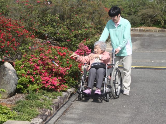 掲載写真3