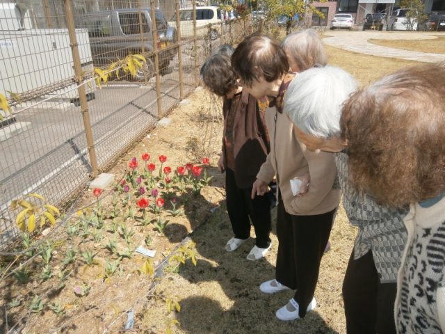 掲載写真4