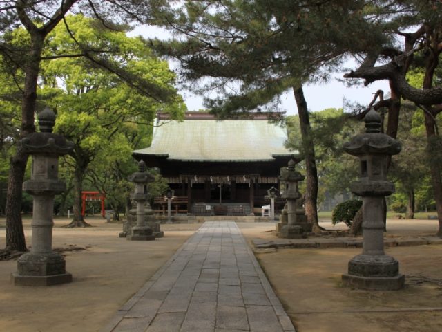 掲載写真5