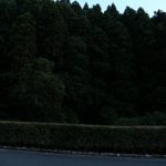 掲載サムネイル写真2