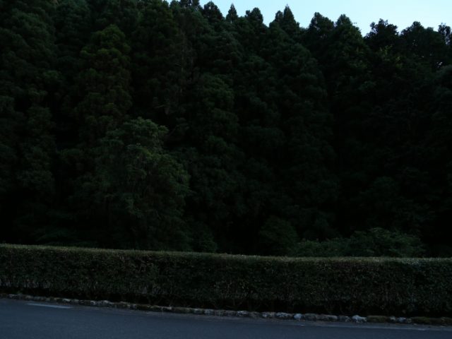 掲載写真2