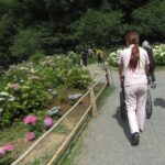 掲載サムネイル写真7