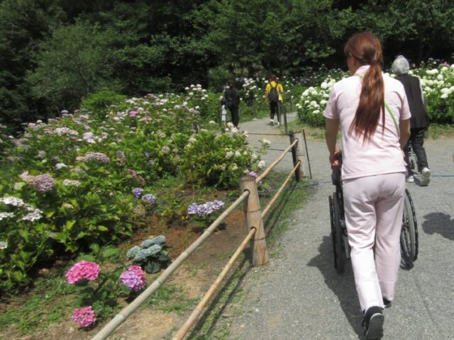 掲載写真7
