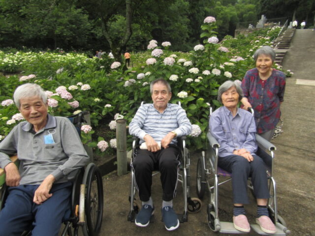 掲載写真1