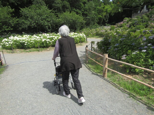 掲載写真6