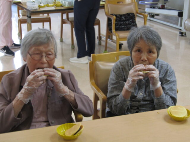 掲載写真5